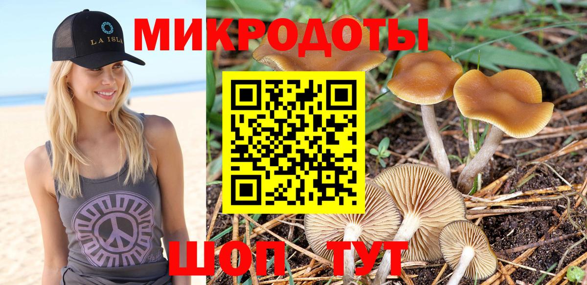Псилоцибиновые грибы Psilocybine cubensis Петрозаводск