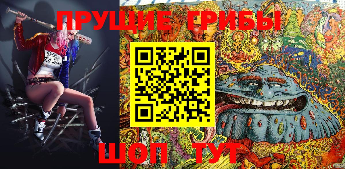 Псилоцибиновые грибы Cubensis  Вход с VPN  Галлюциногенные грибы мухоморы  Петрозаводск 